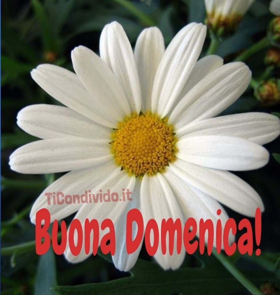 buona domenica