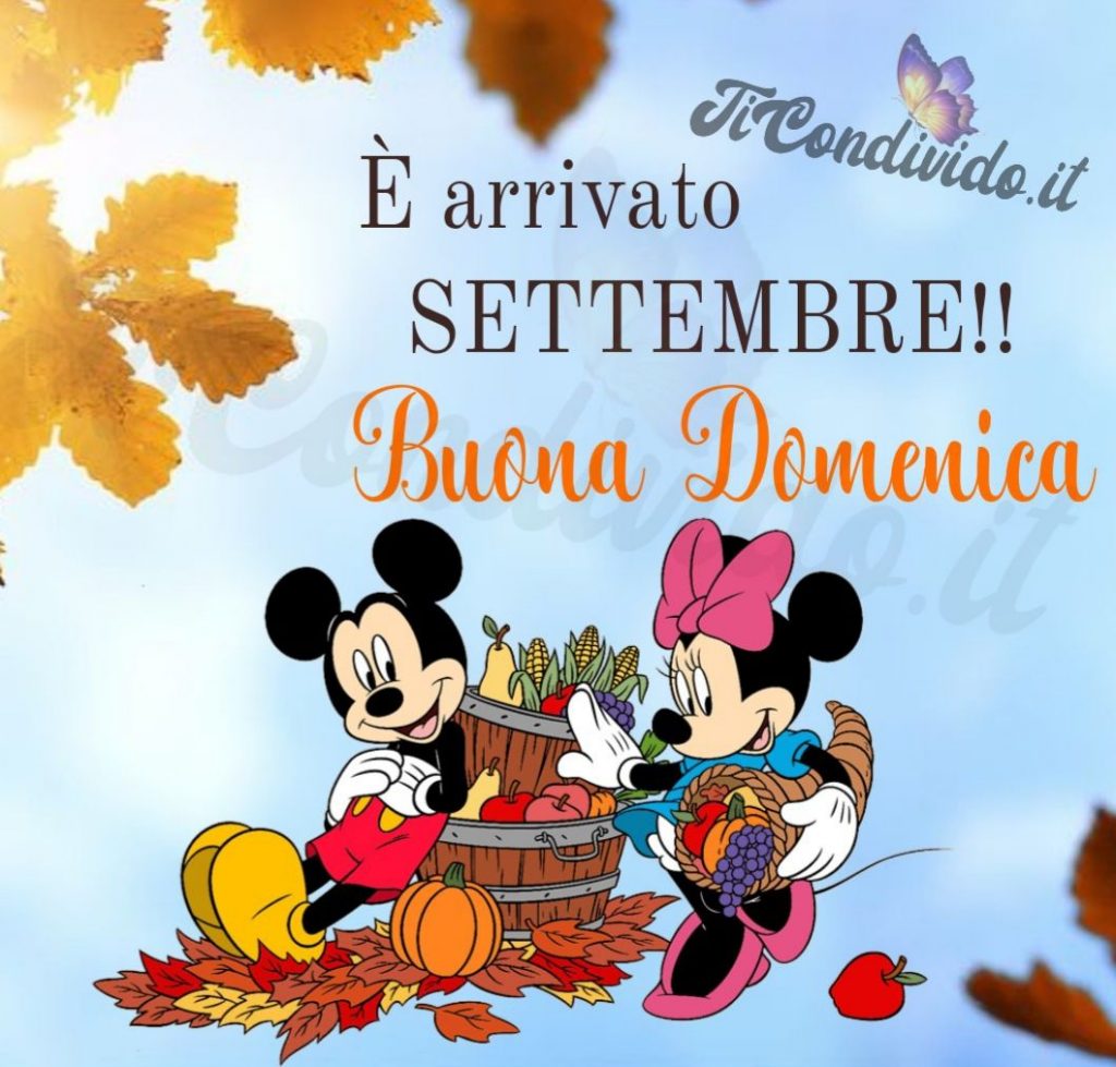 buona domenica