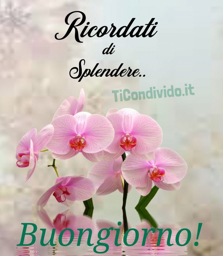 buongiorno