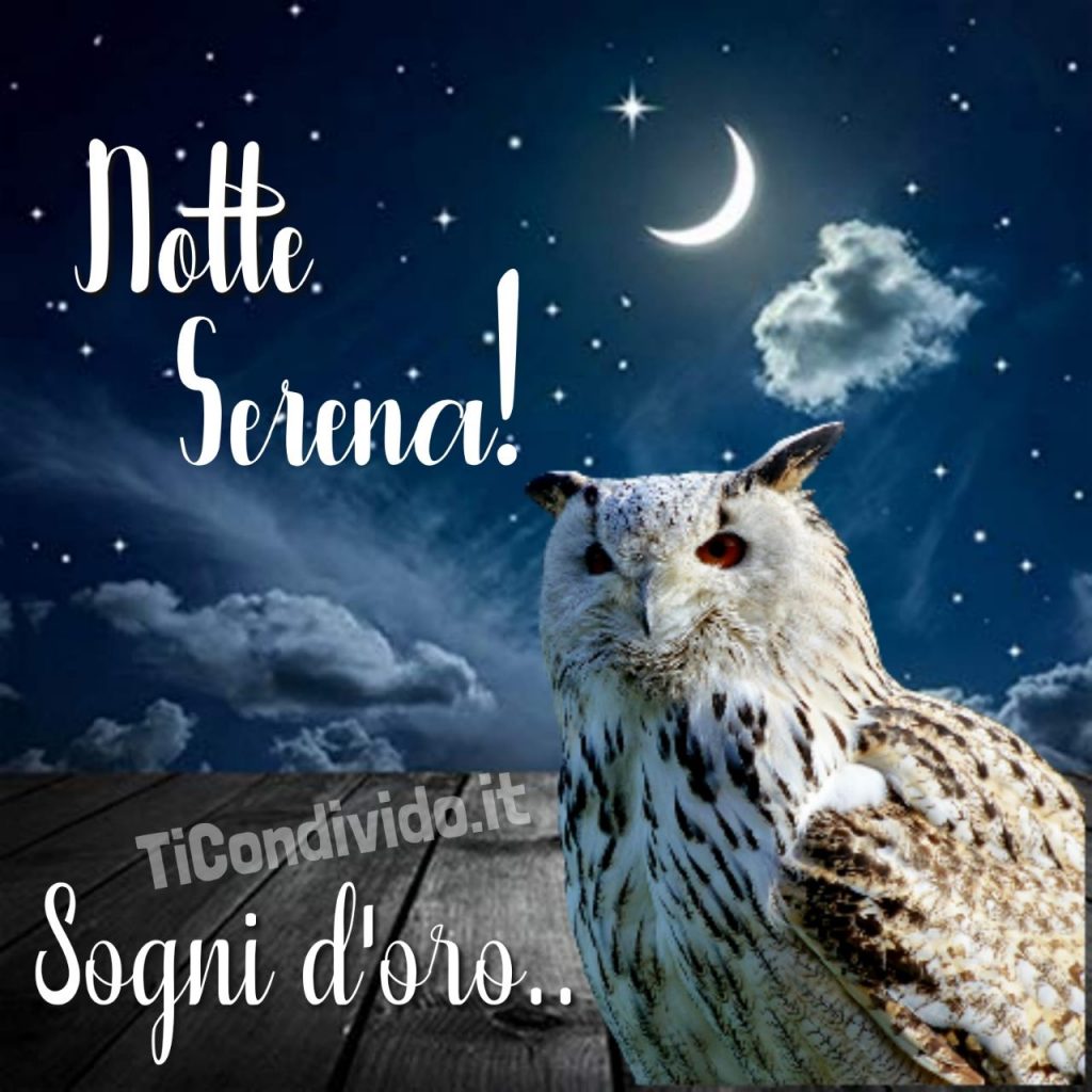 buonanotte