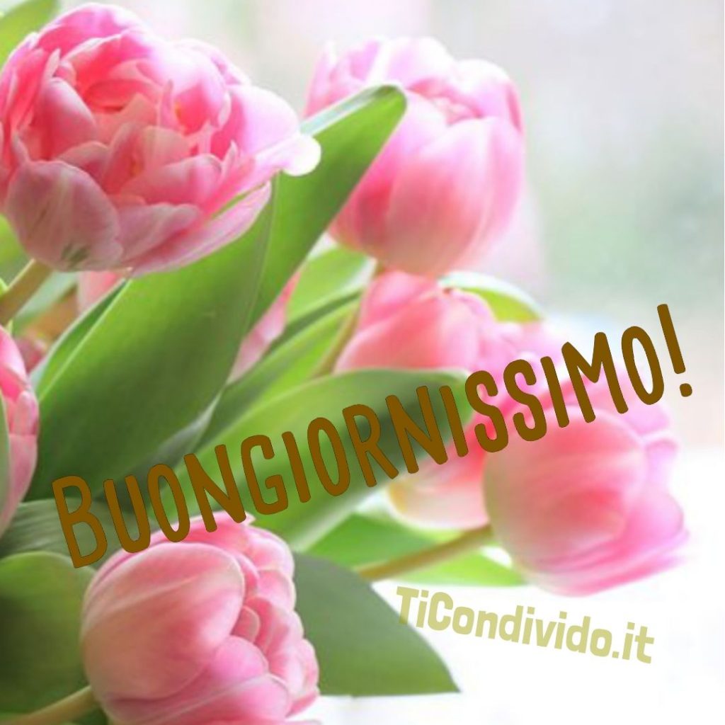 buongiorno