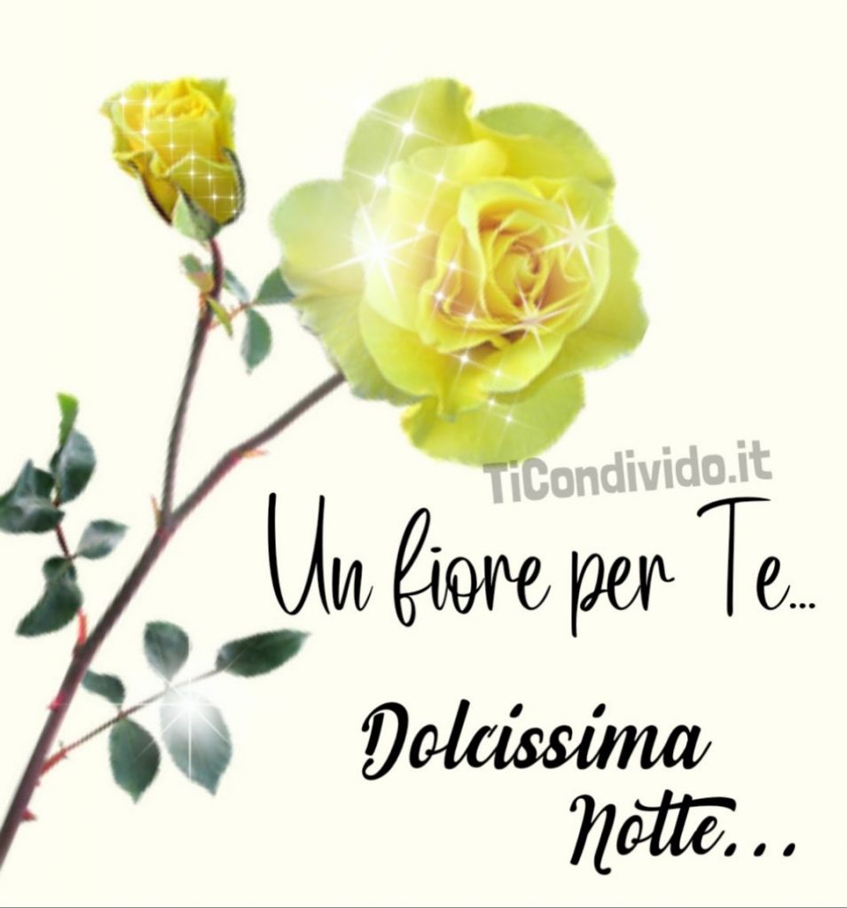 buonanotte
