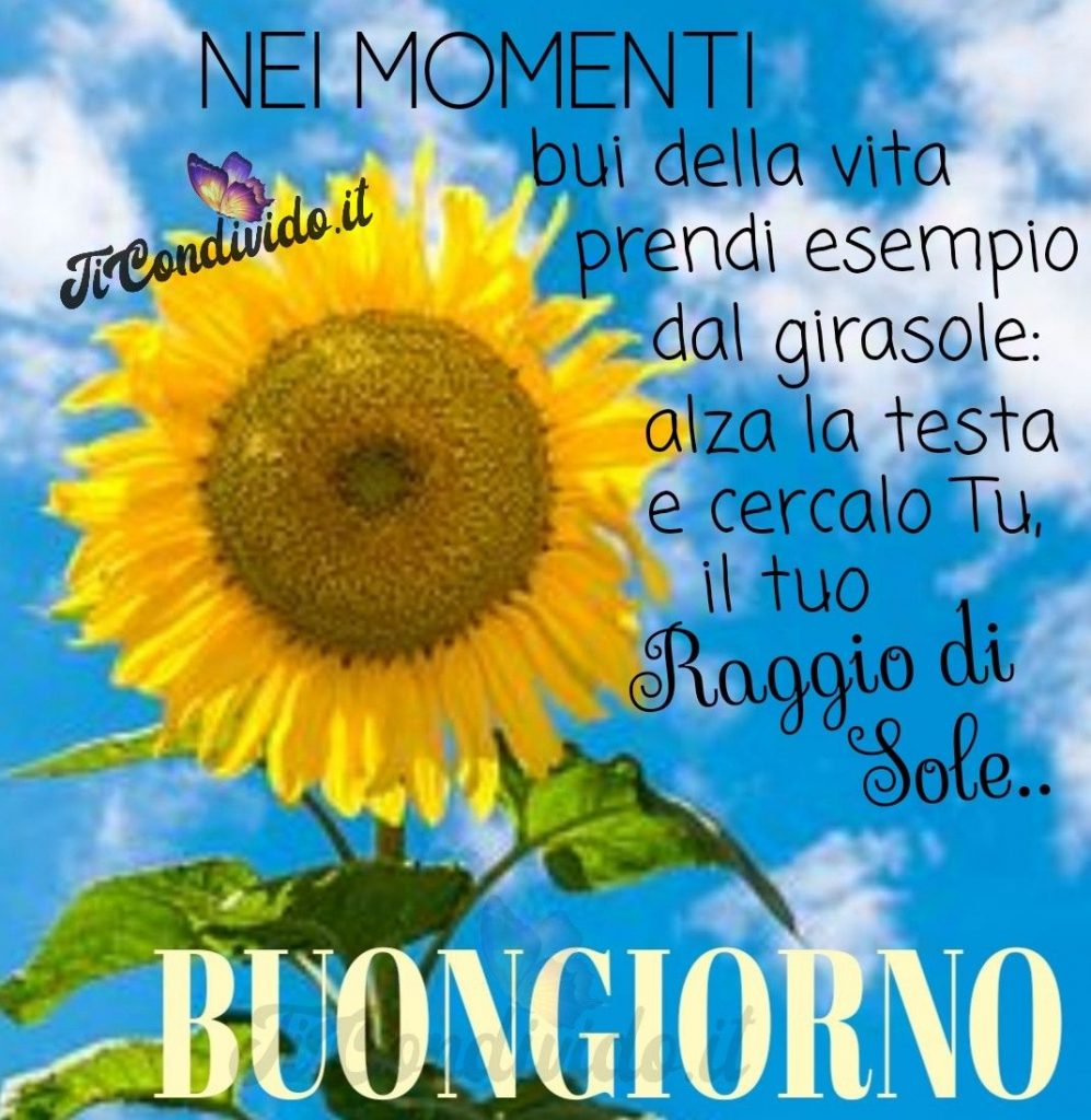 buongiorno