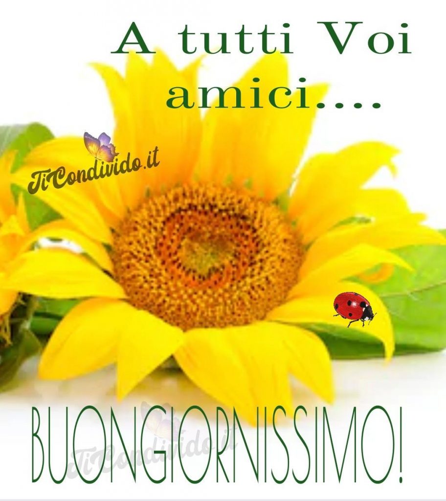 buongiorno