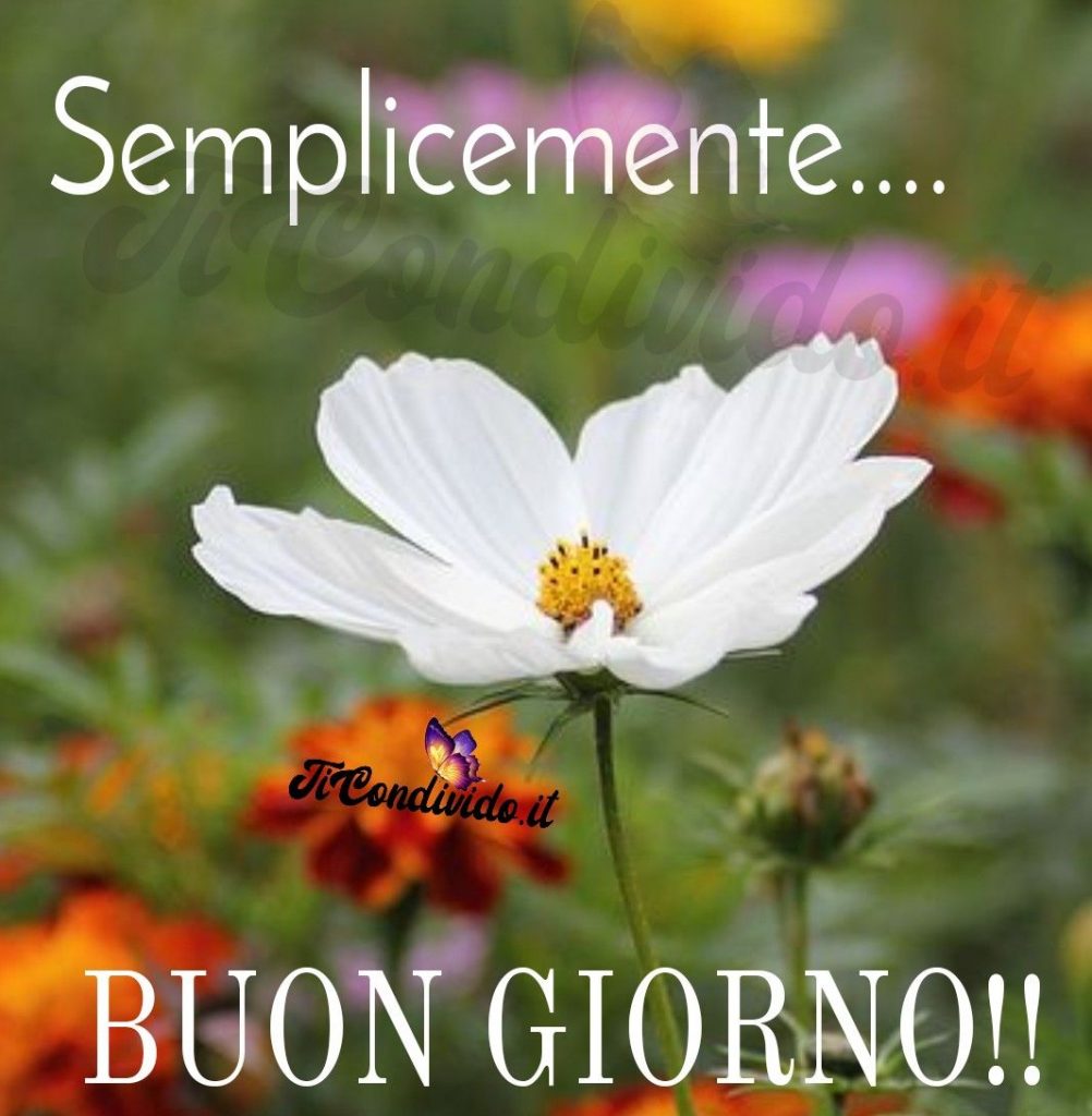 buongiorno