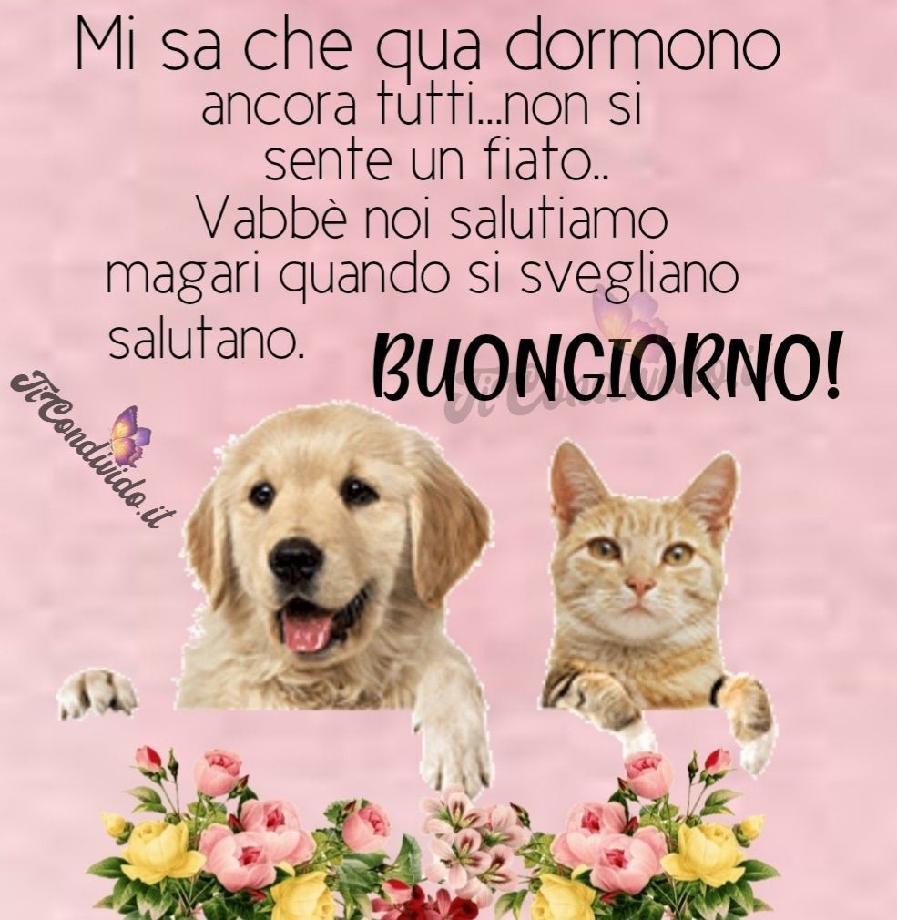buongiorno