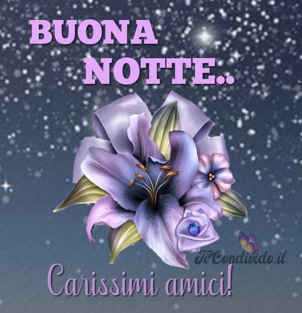 buonanotte