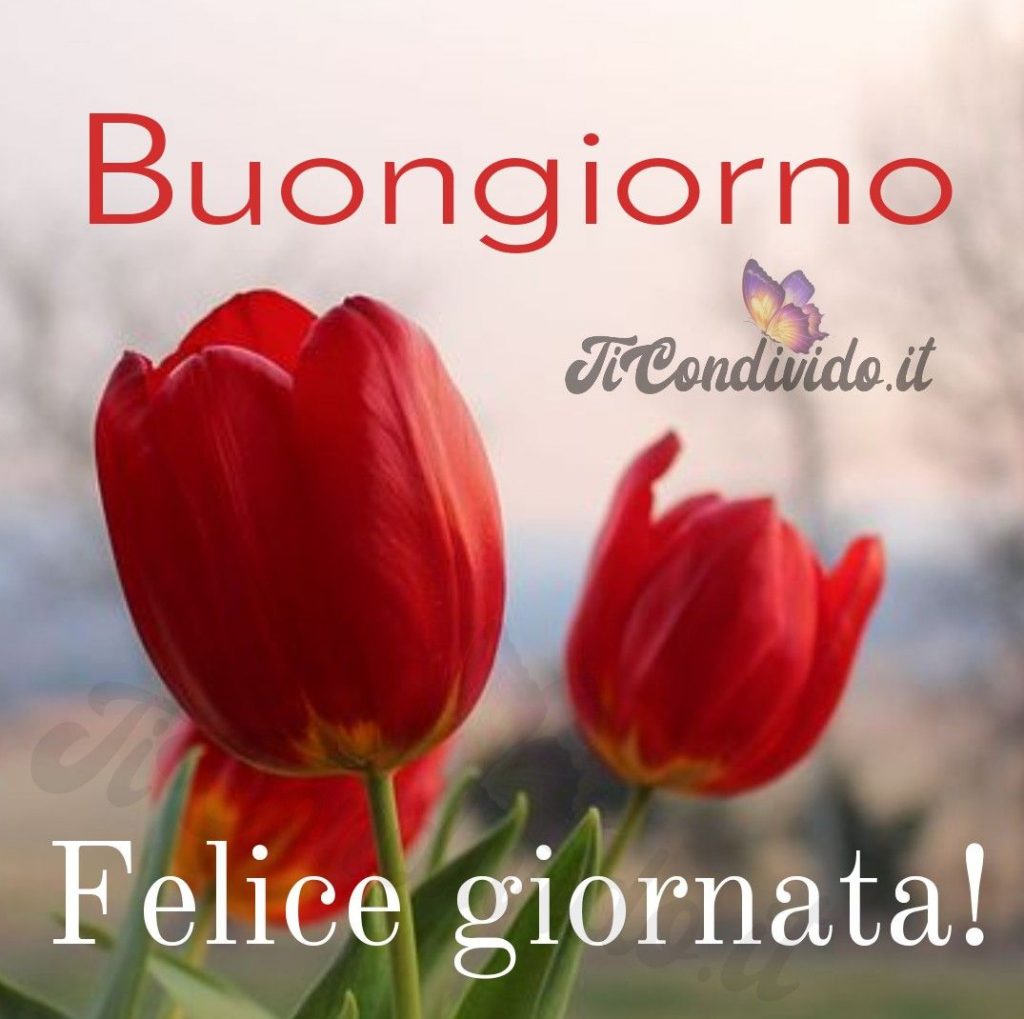 Le Migliori Immagini di Buongiorno per Facebook e WhatsApp!