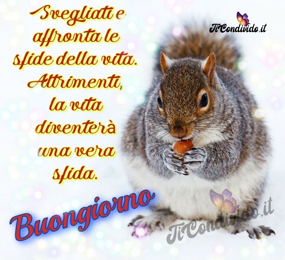 buongiorno