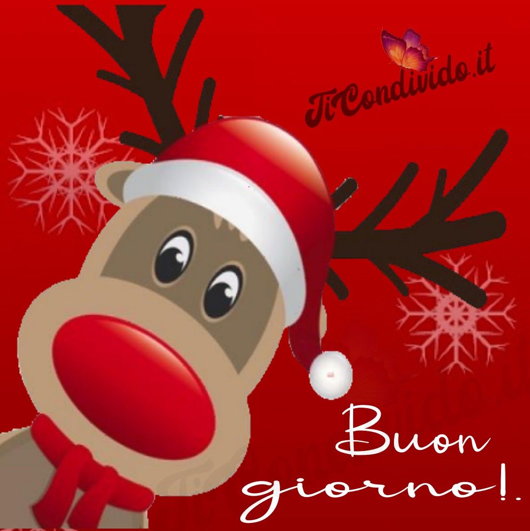 Divertente Buon Giorno Immagini Natalizie.Le Piu Belle Immagini Del Buongiorno Natalizio Buon Natale