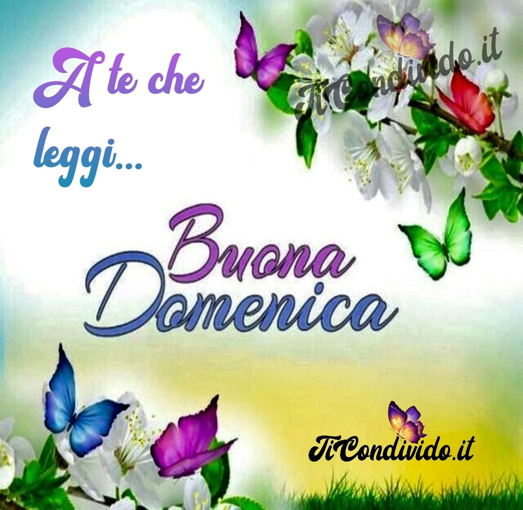 Buona domenica