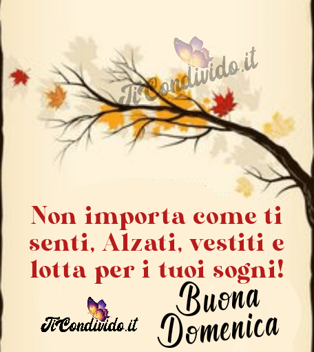 Buona domenica