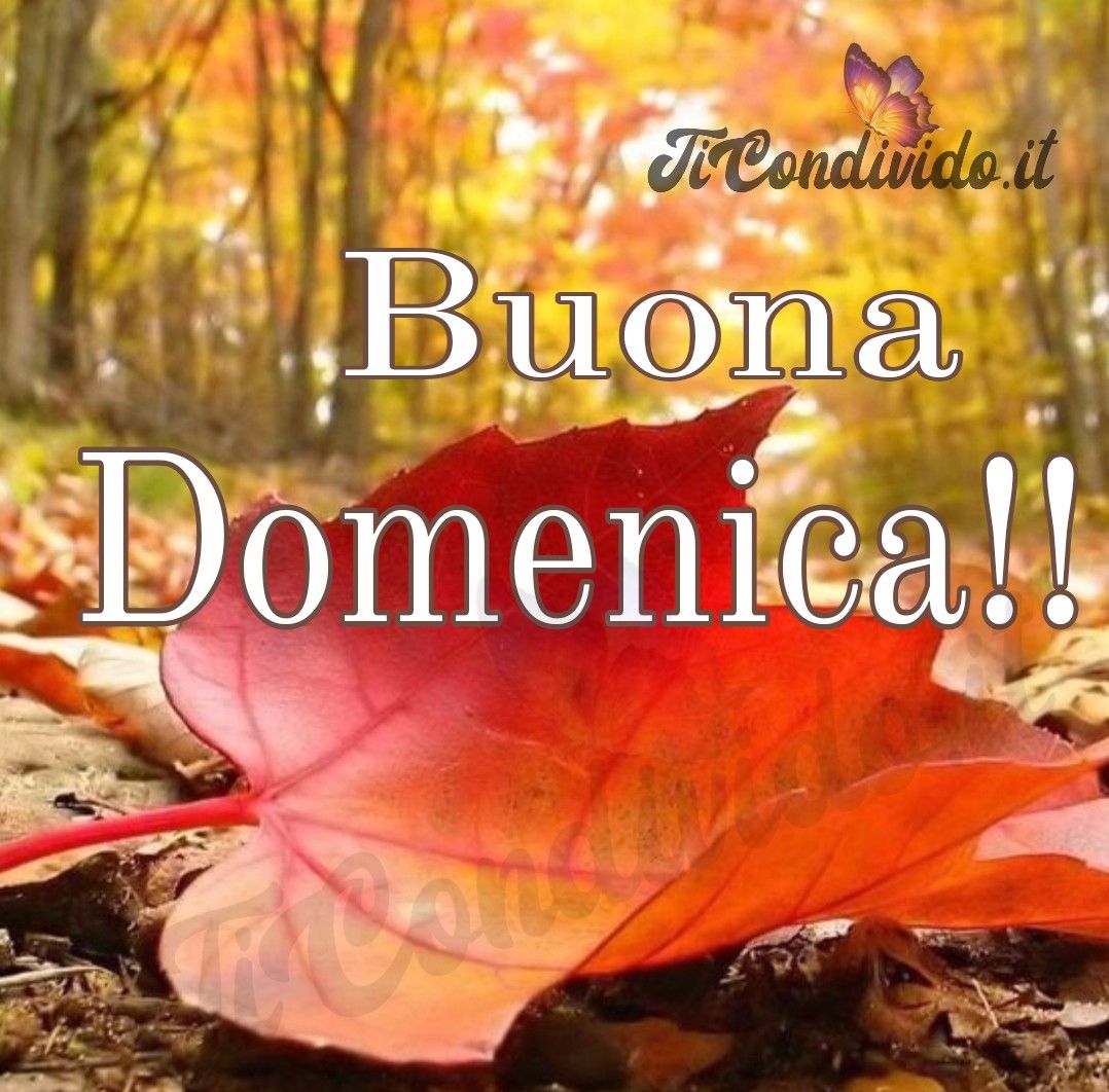 Buona Domenica 27 Ottobre 2024 Immagini Le più Belle Immagini della Buona Domenica per WhatsApp!
