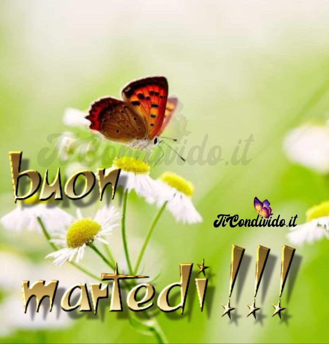 buon martedì
