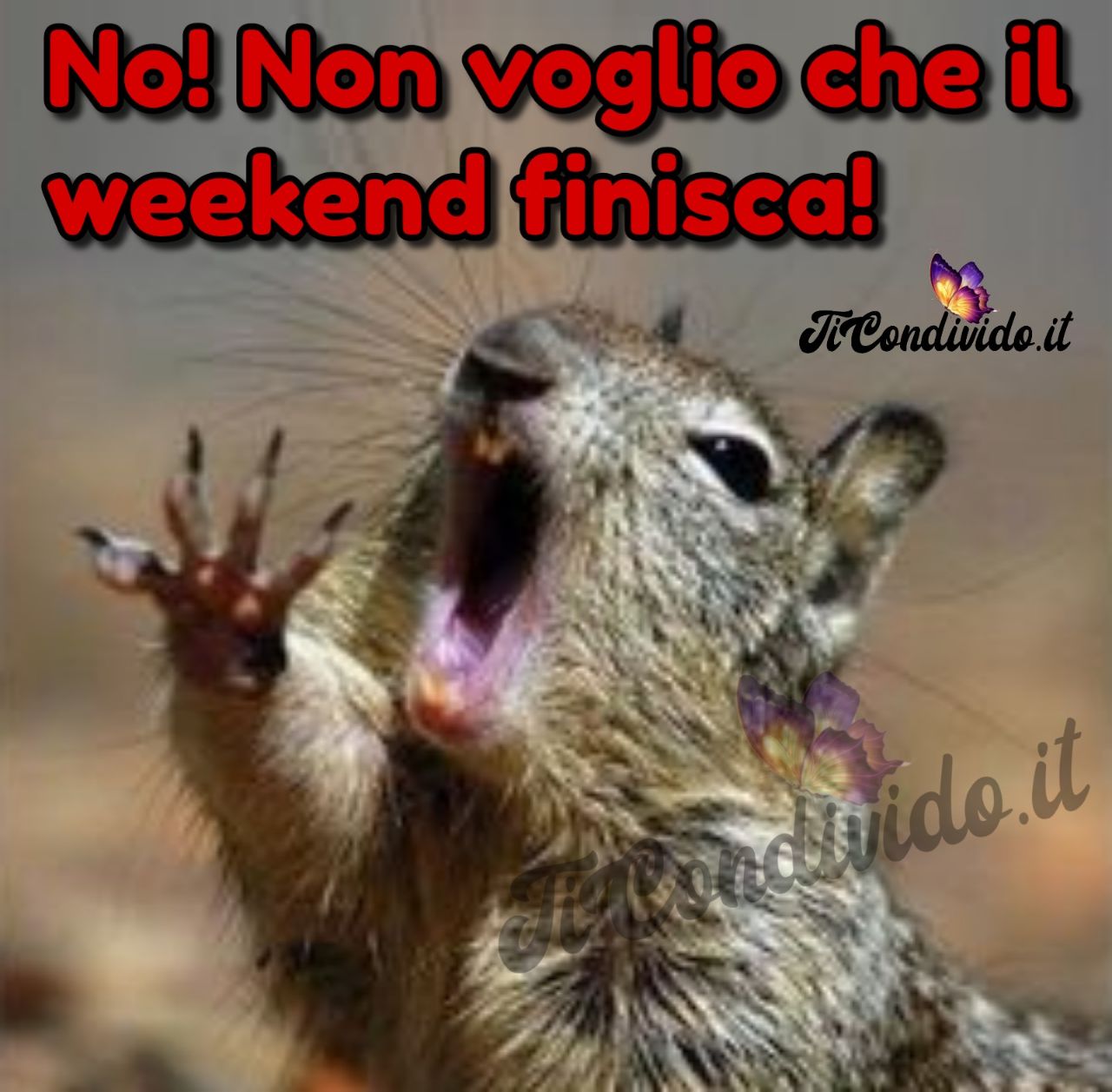 buon weekend