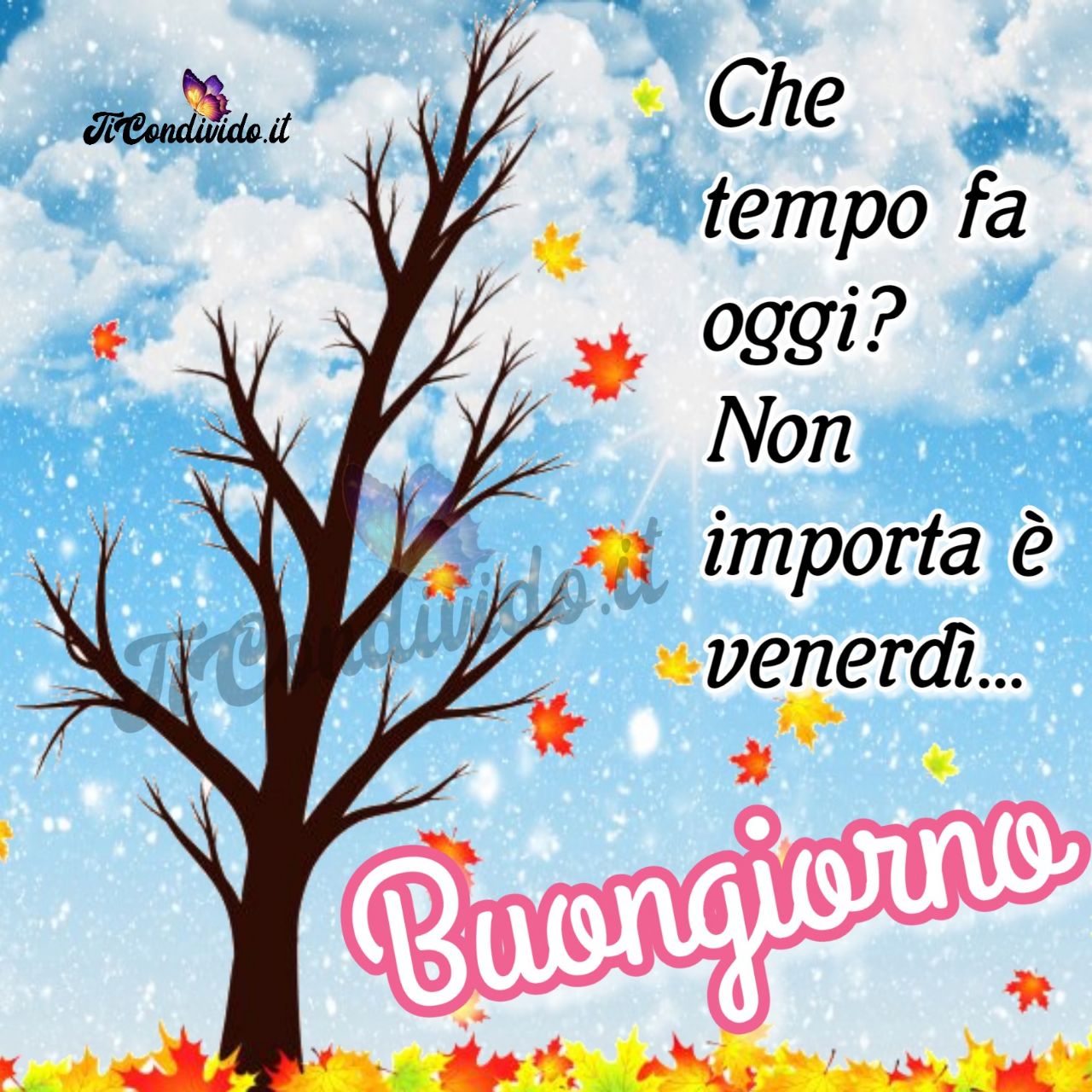 buongiorno