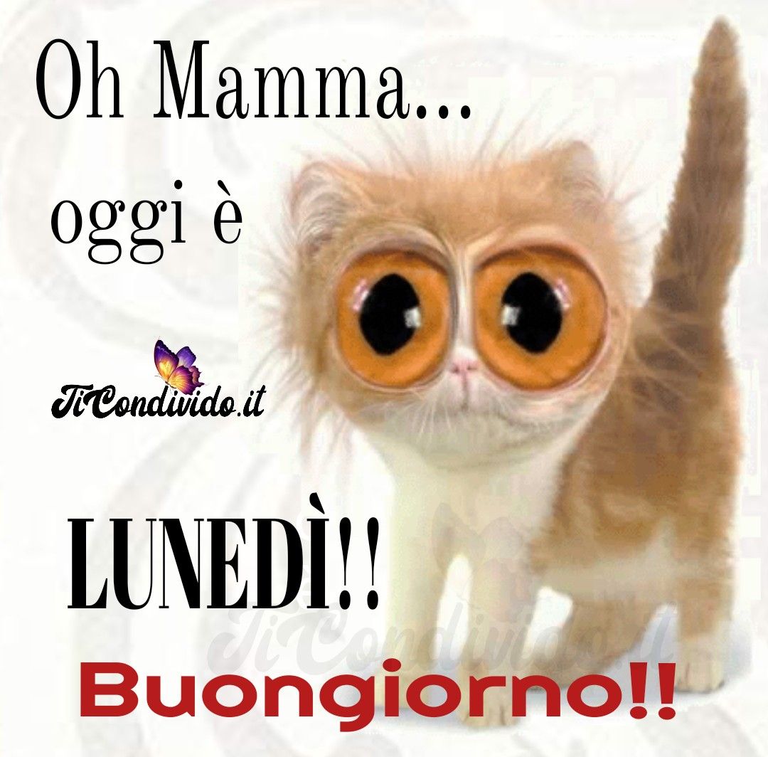 buon lunedì
