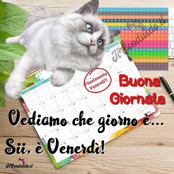 buongiorno