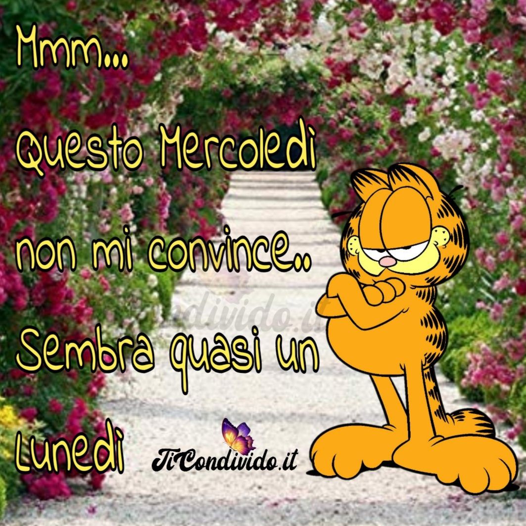 buon mercoledì