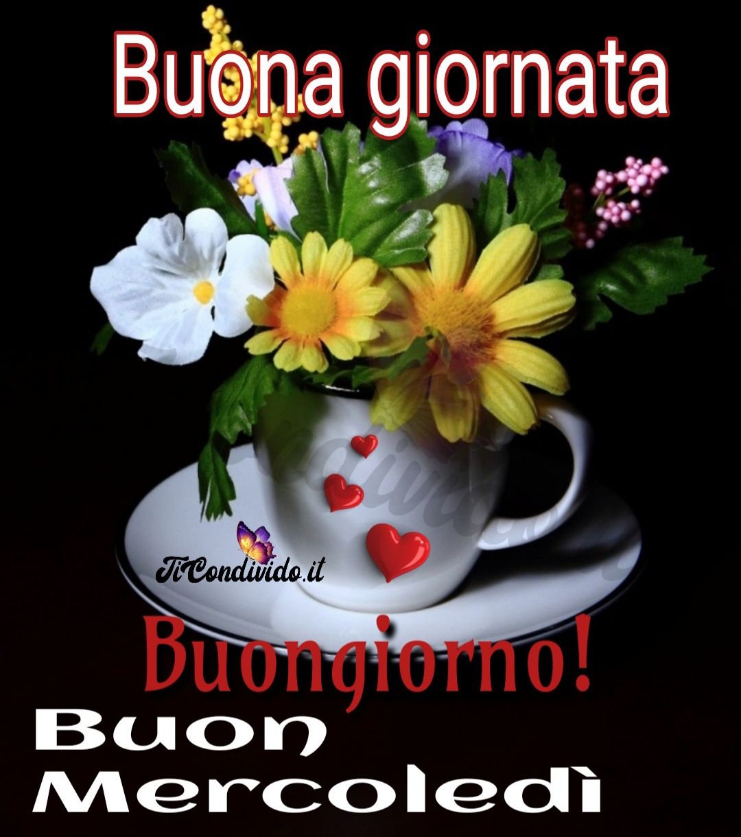 Buongiorno Mercoledì 7 Febbraio 2024 Le più Belle Immagini per il Buon Mercoledì! Per WhatsApp e Facebook!
