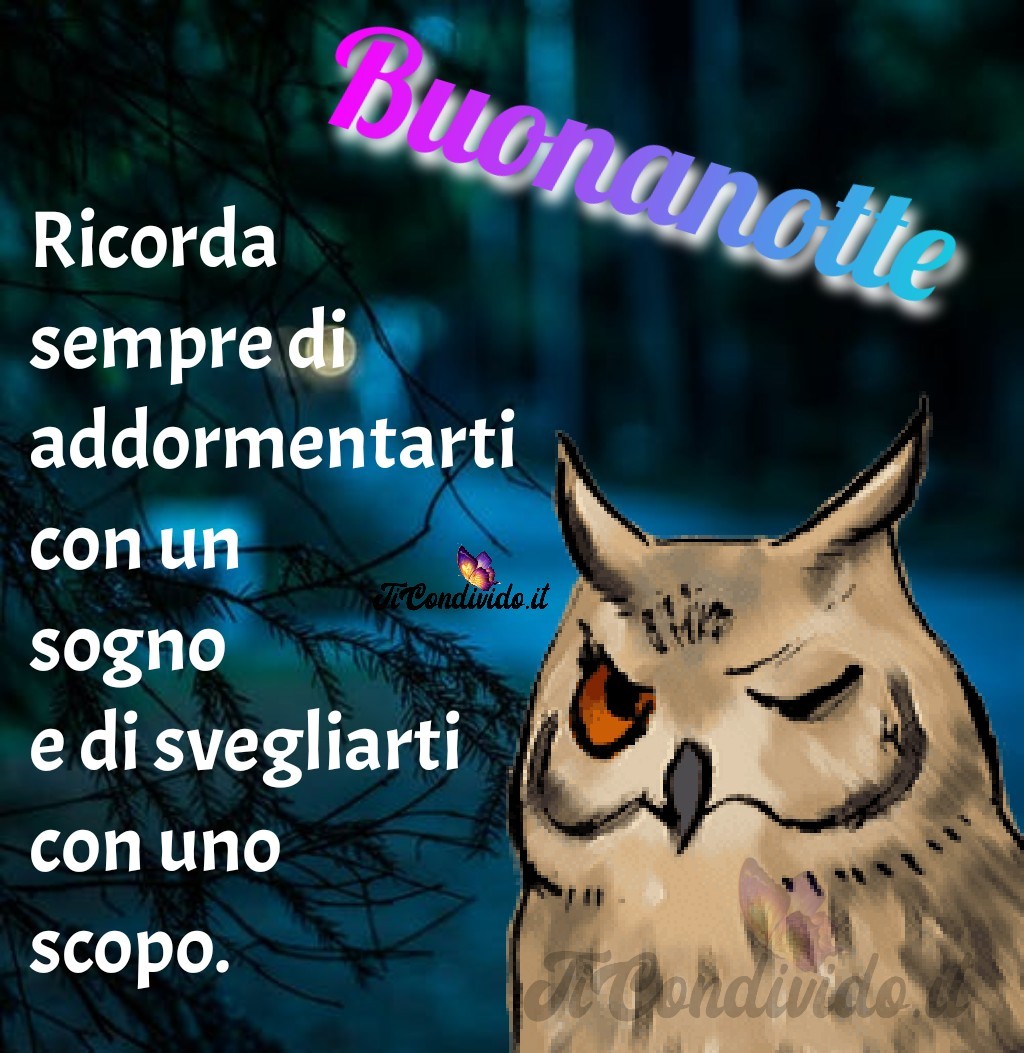 L'ultima Persona A Cui Pensi Prima Di Dormire