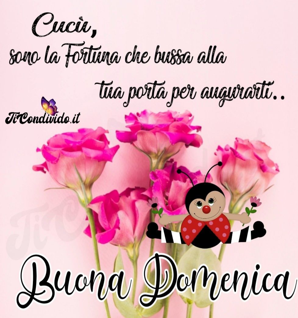 Buona domenica