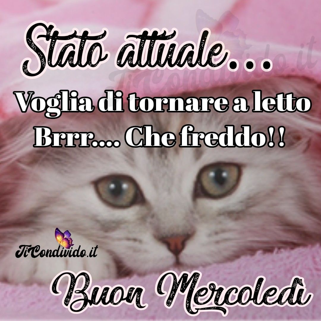 buon mercoledì