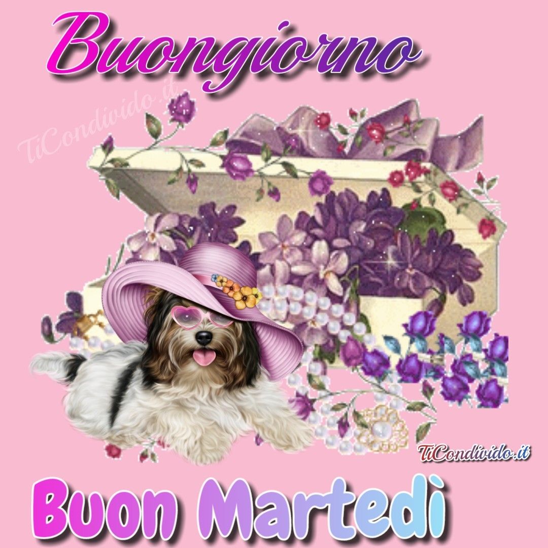 buongiorno