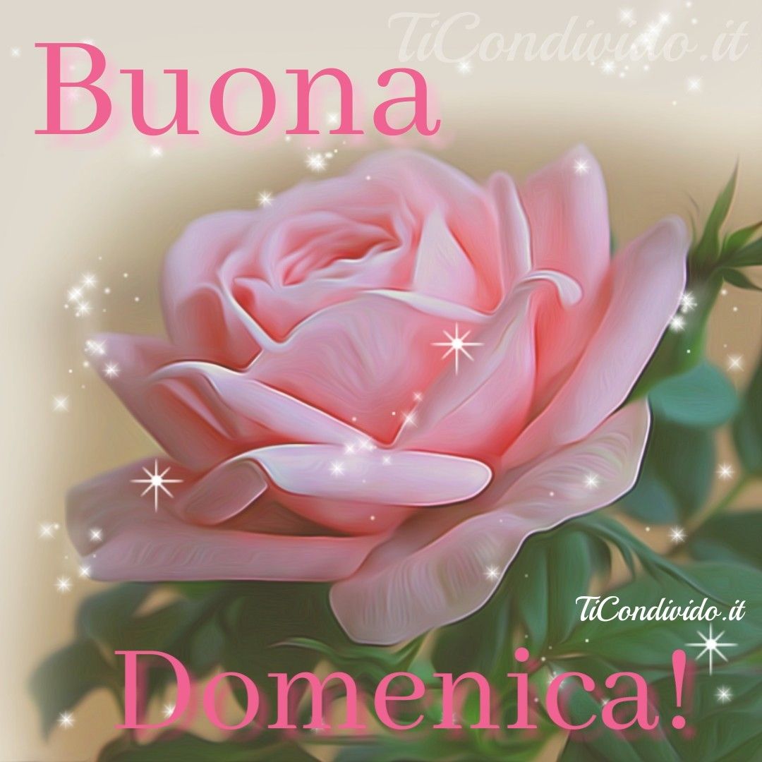 Belle Immagini Di Buona Domenica PWYCO