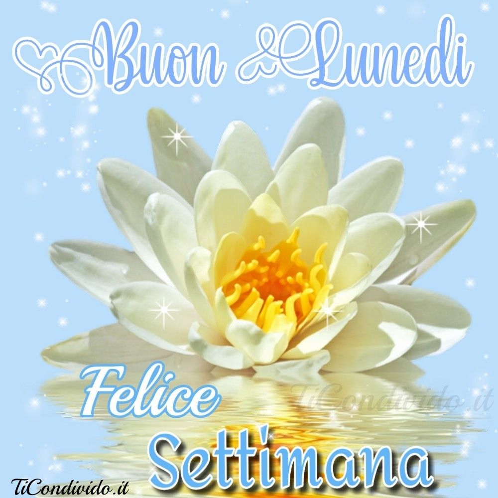 Buon lunedì