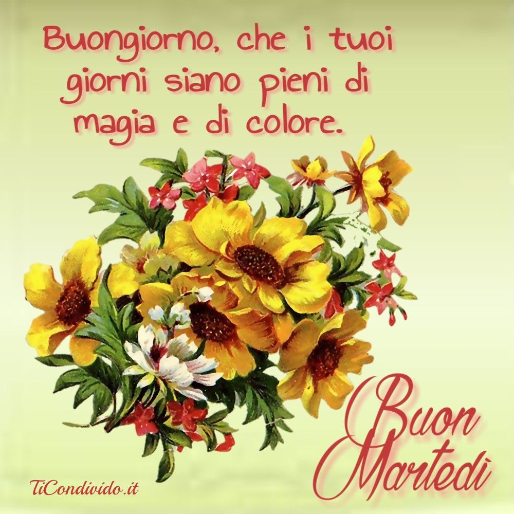 Le più Belle Immagini per il Buon Martedì! Per WhatsApp e Facebook!