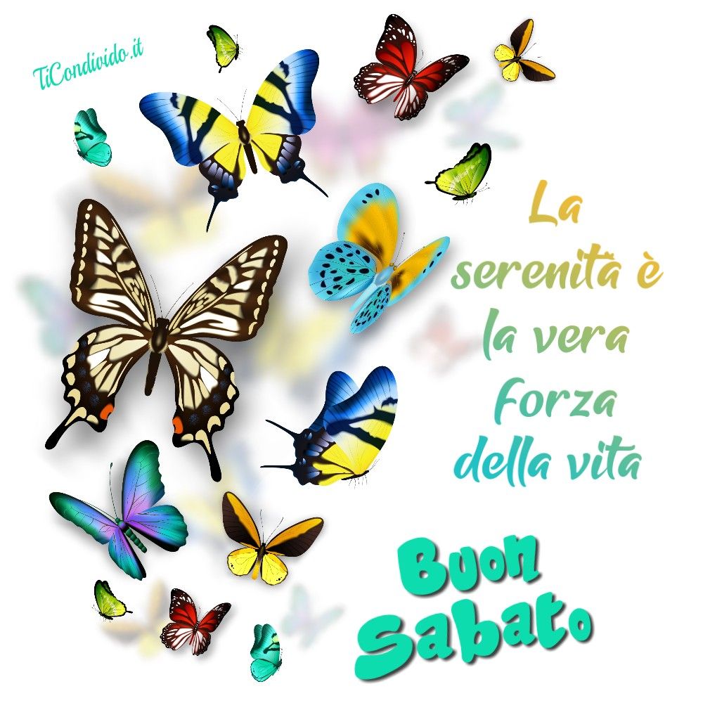 Immagini Buon Sabato