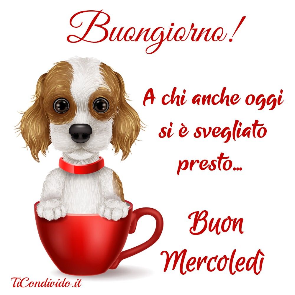 Immagini Buon Mercoledì