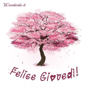 Le più Belle Immagini per il Buon Giovedì! Per WhatsApp e Facebook!