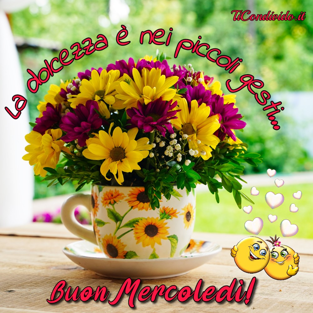 Immagini Buon Mercoledì! Le più Belle Immagini per WhatsApp!