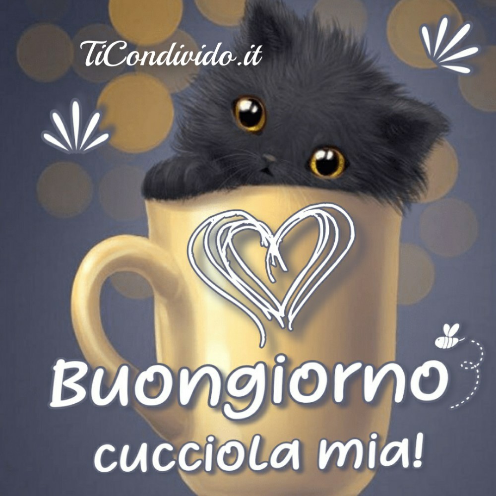 Immagini Buongiorno Amore